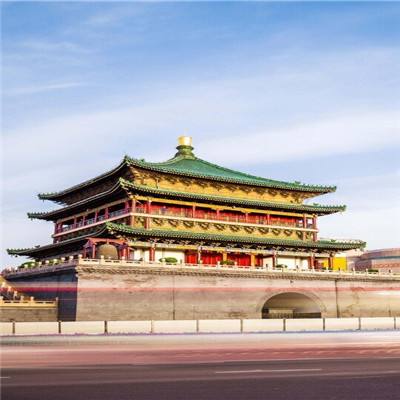 上海出台专项计划，将建市级白玉兰文化公园，助市花“逆袭”